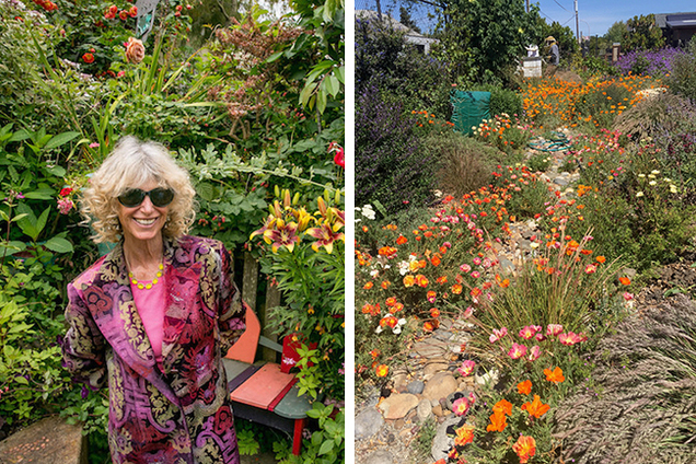 Digging Deeper: The City Alight with Life - Growing Healthy Food and Creating Vibrant Habitats